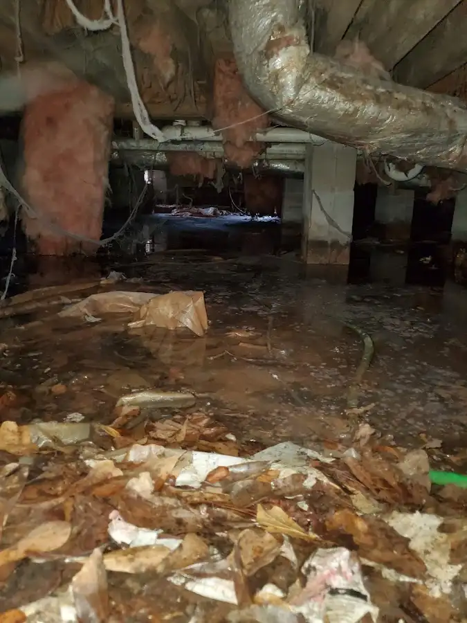 Crawl space flood assessment for Commercial Water Damage Restoration in New Hanover
