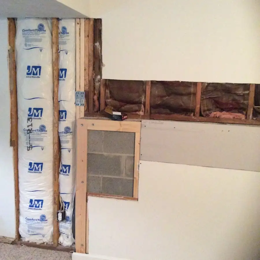 Wall insulation replacement during Odor Removal & Deodorization in New Hanover